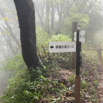 露を避ける為、メインルートを下山