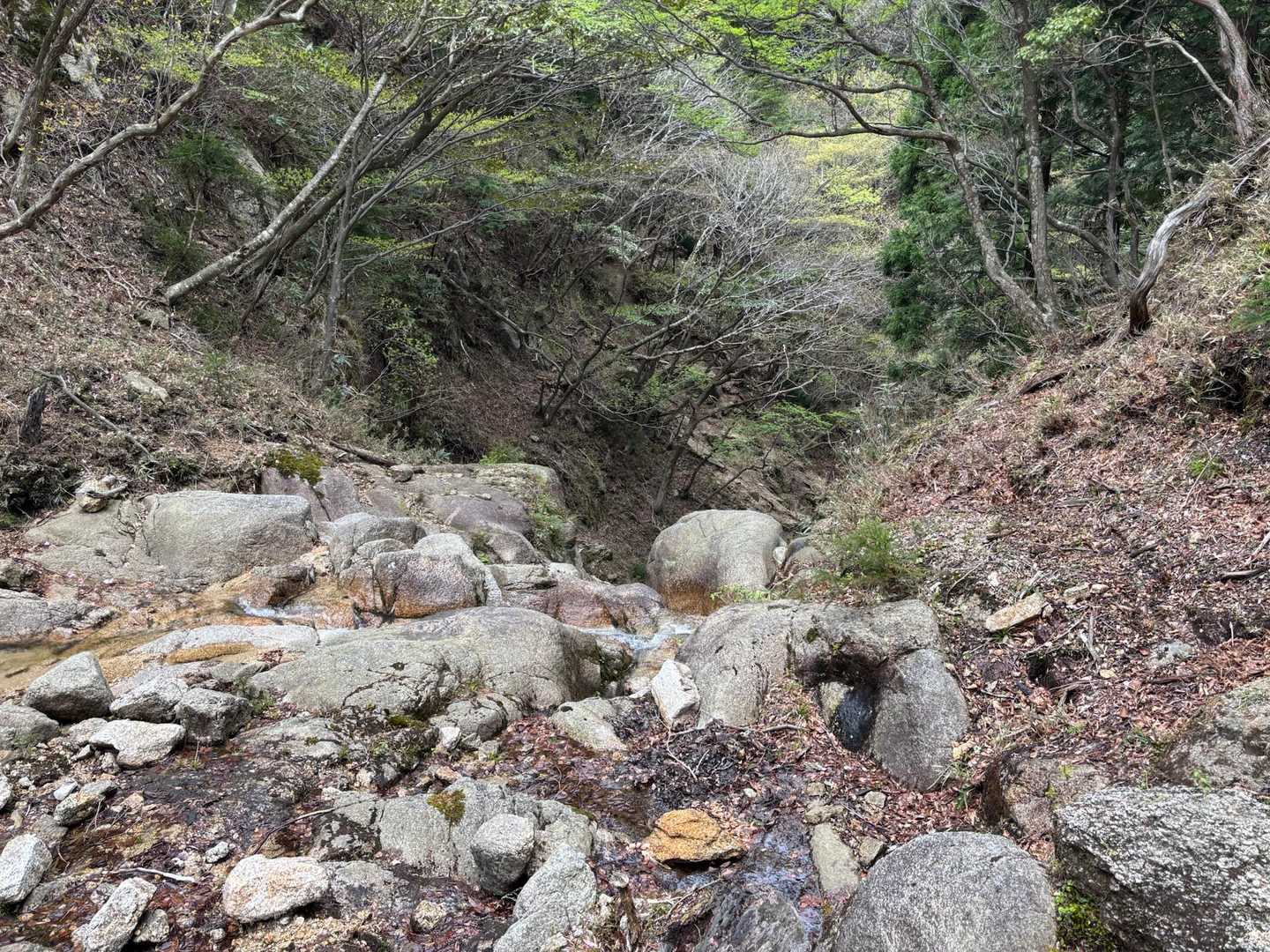 いきなり滝になってます！　巻道らしきものが右手にありましたが滑落しそうな険しさです…　素人には無理そうなので、尾根道に引き返しました