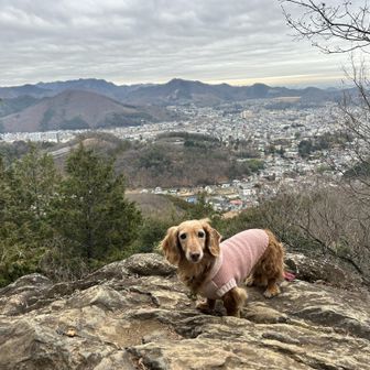 トンビ岩で景色を眺めながらひと息！
