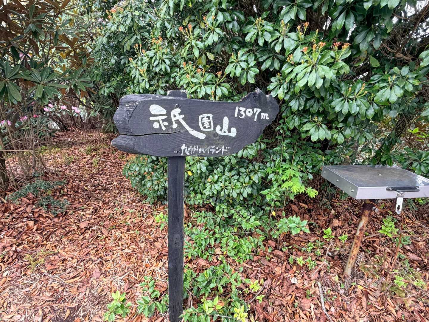 あ！ここが山頂だった⸜(*ˊᗜˋ*)⸝