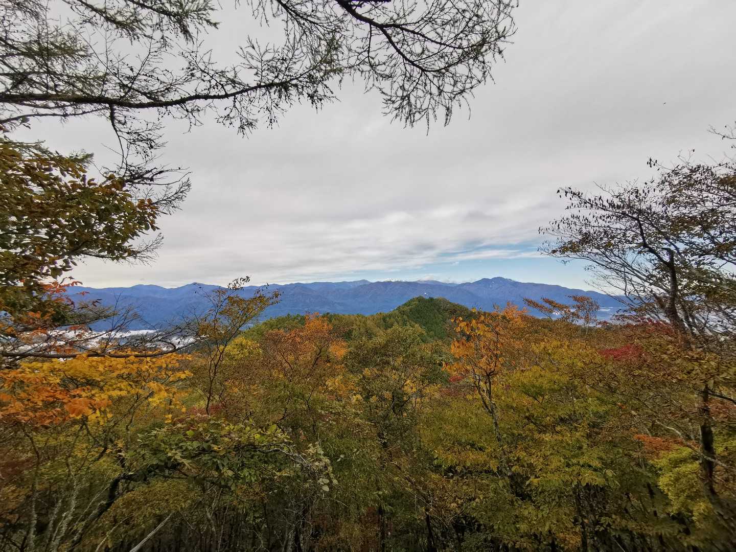 小高山からの眺望。この後、下山方向をミスって道迷い😅‪‪