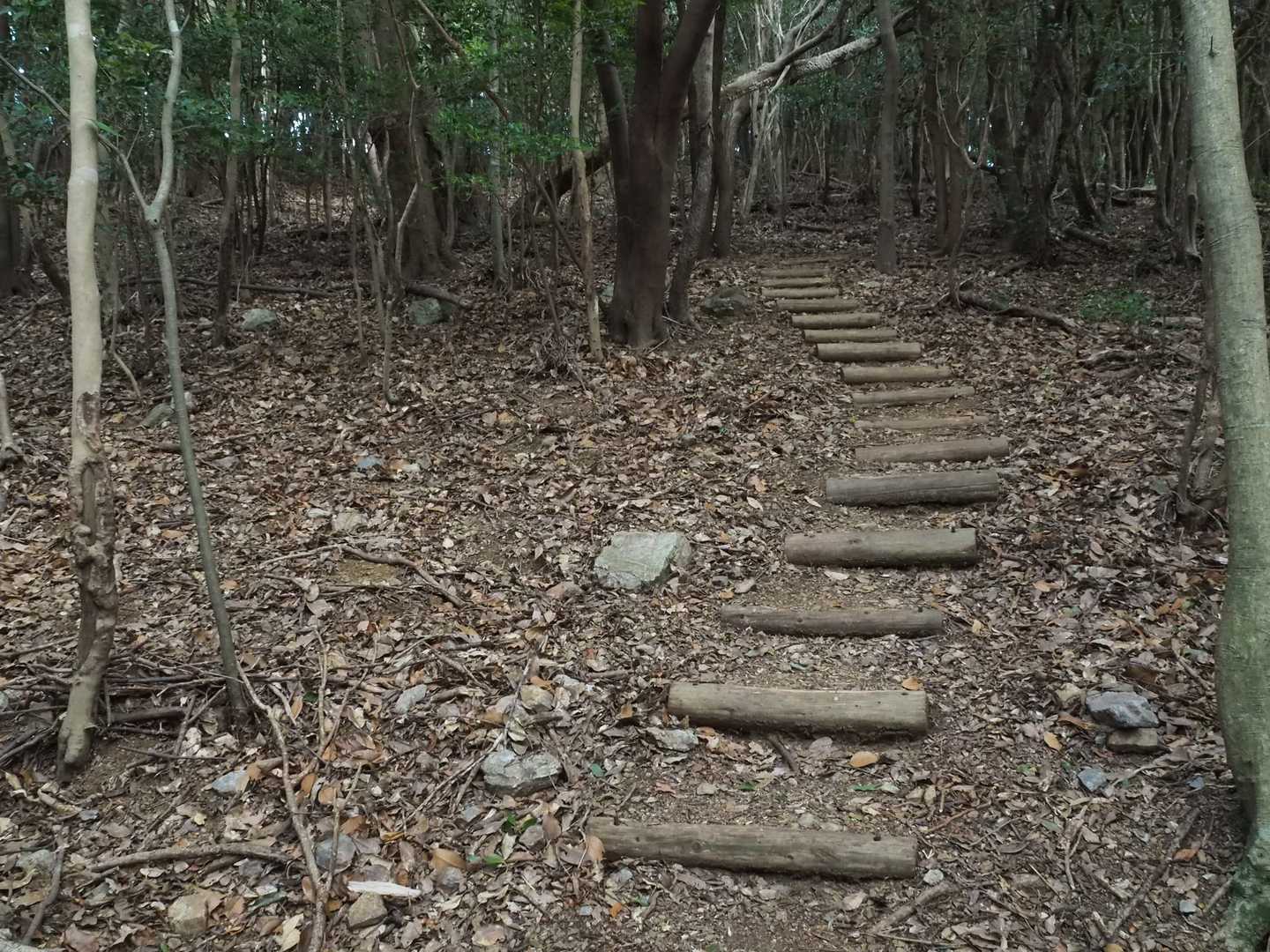 し