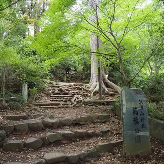 本日は御幸ケ原コースをピストン
雨降る前に降りてきたい