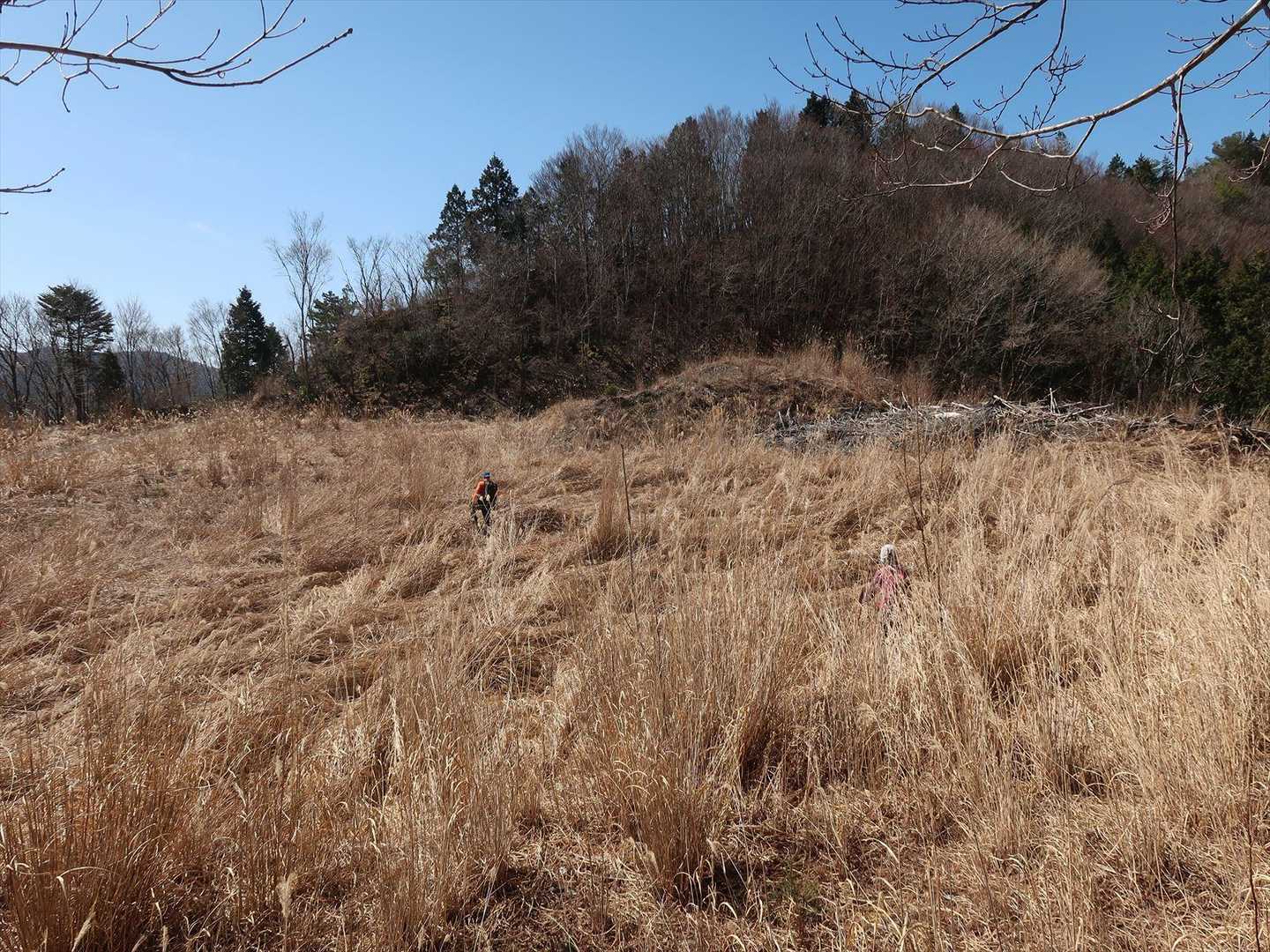 一旦荒れたカヤトに出ます
この間には林道が無いのでイバラに気を付けてテキトーに進みます