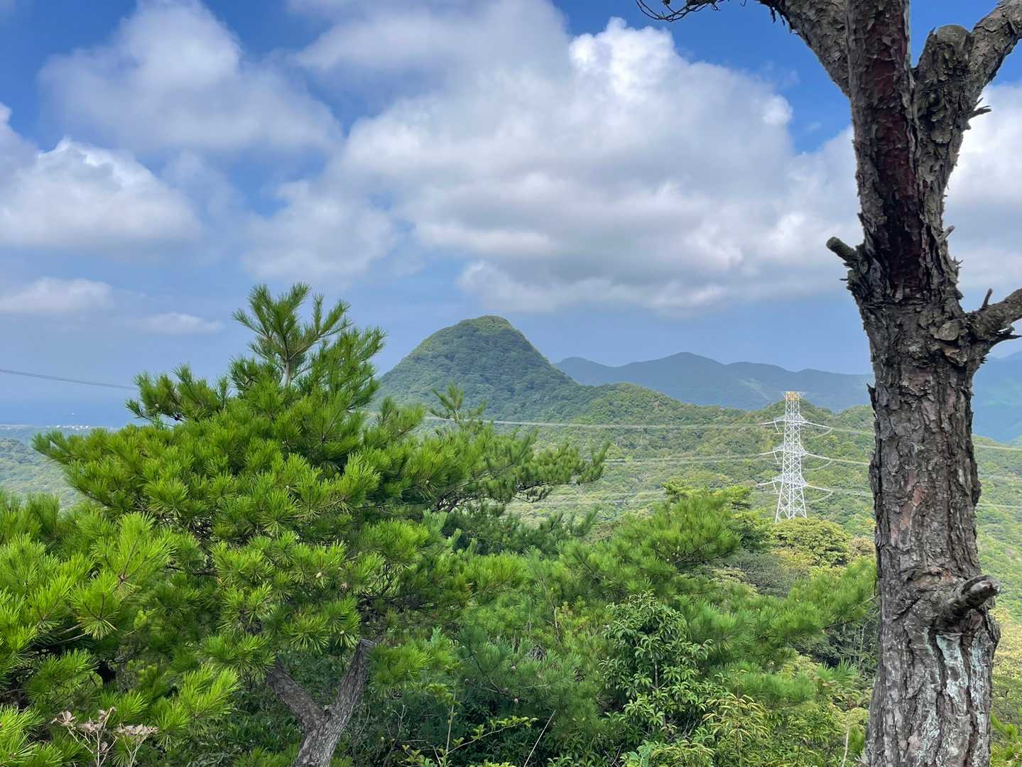 展望所から見える勝山。