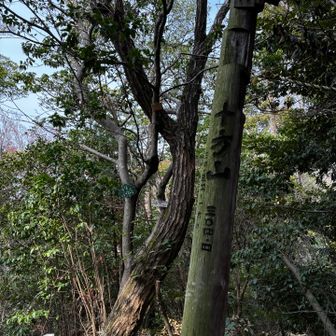 本日最後のお山です
ここから激下りと脅かされてる😱