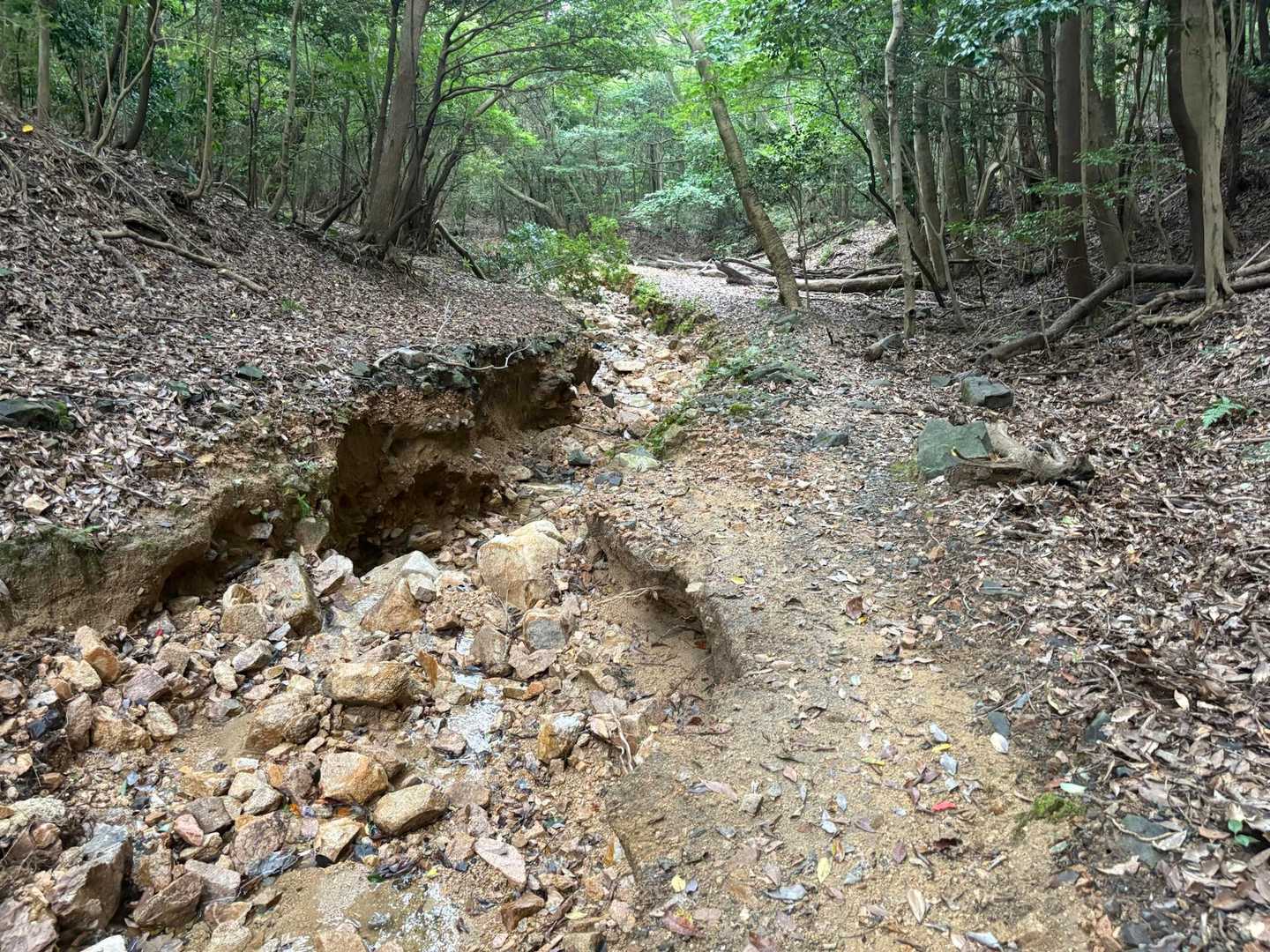下関も🌧️酷かったそうで
山が結構えぐれていました😅
コレっていつか元に戻るんかな？