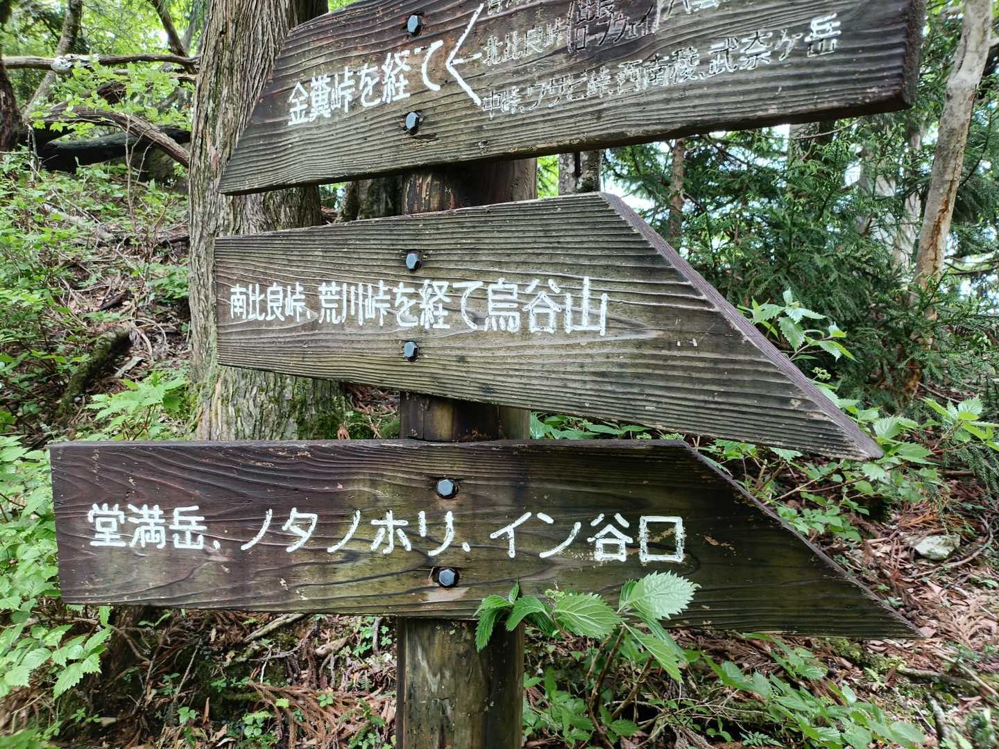 変な名前いっぱい