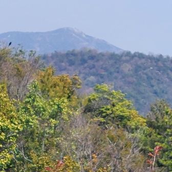 今年も登った高御位山
