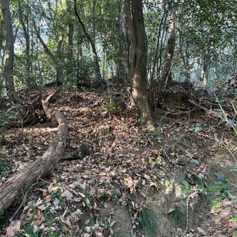 ロープもあります🪢