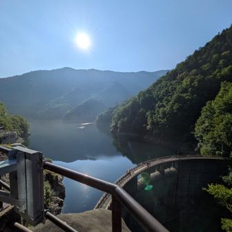 指入っとるがな　ダム