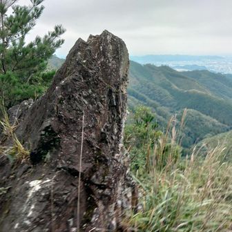 岩岩しい