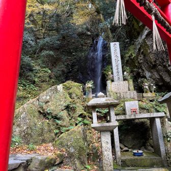 立派な鳥居をくぐって