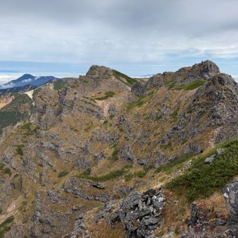 ここも横岳のピーク、向こうも横岳のピーク