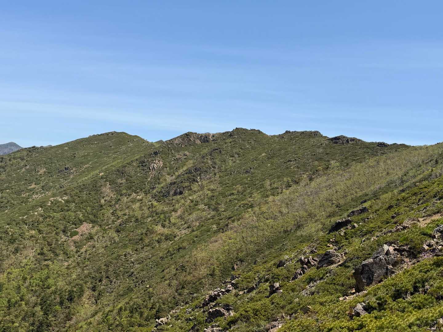吉田岳👀
