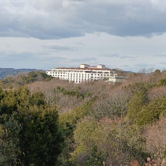 デカいバブル遺産