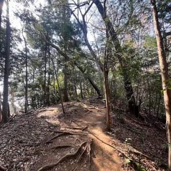 短い距離だけどキュッと登ったらあと少し