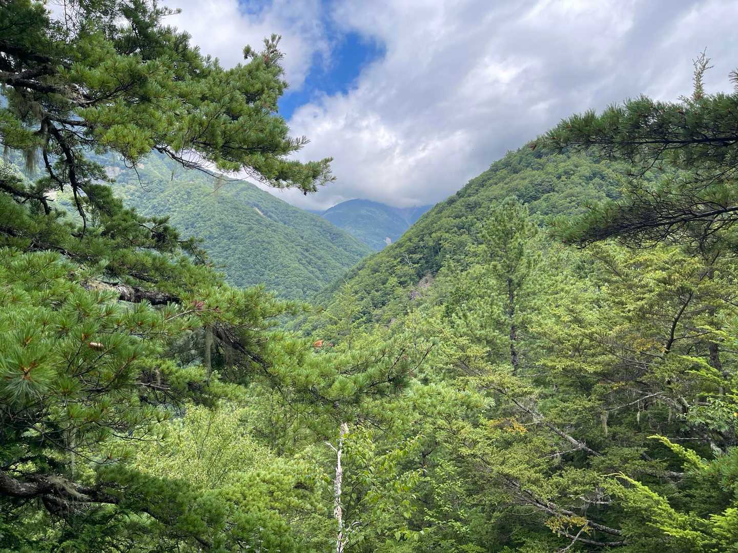 雲は多いけど今日は雨は大丈夫そう
この天気が１日ずれてくれれば良かった…