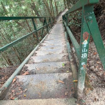 何気に道標
