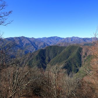 相変わらず何が見えているか全くわかりません