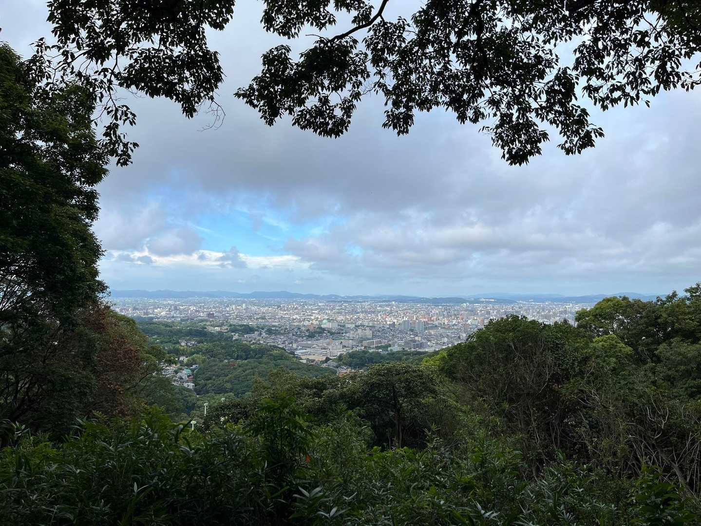 操山-やすらぎの裏山入山口 縦走コースの写真
