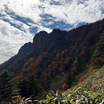 北壁でクライミングする人がいると思ったら、なんと紙ふうせんさんの初チャレンジとのこと。
すごい！

そして、フミさんシャツ着てる人がいる！って声かけてみたら、優しい兄貴・鯉口さんと、超憧れのまりさんごさん！！！
素敵なフミさんシャツのおかげで出会えました、ありがとうございます。