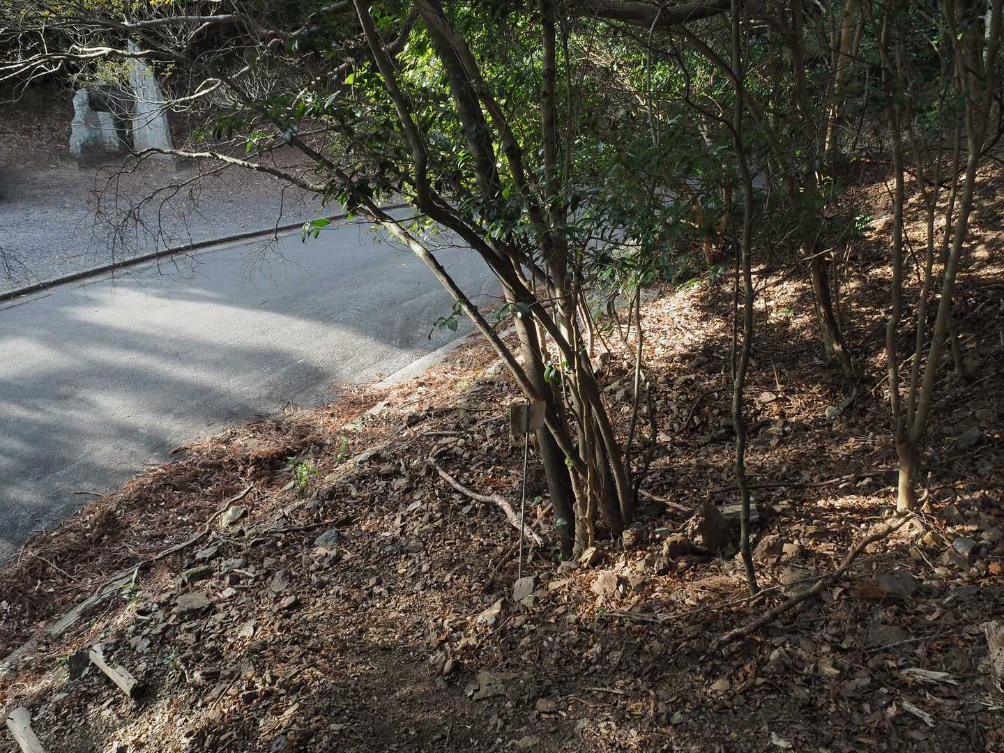 剣峠着