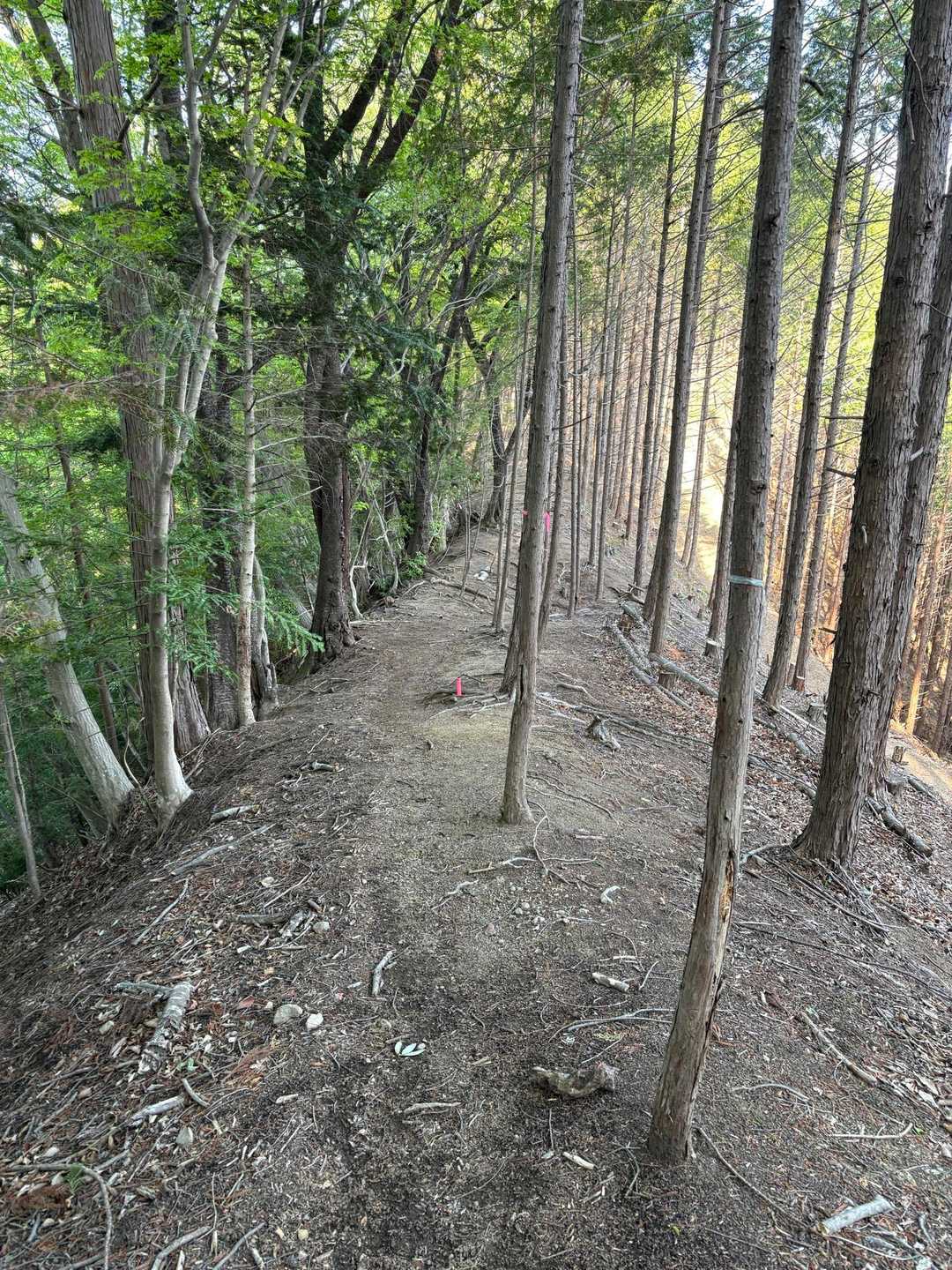 今日のコースで1番足場良いとこ［寺エリア以外で］