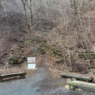 ここからはわりと急な登りなので軽く休憩。