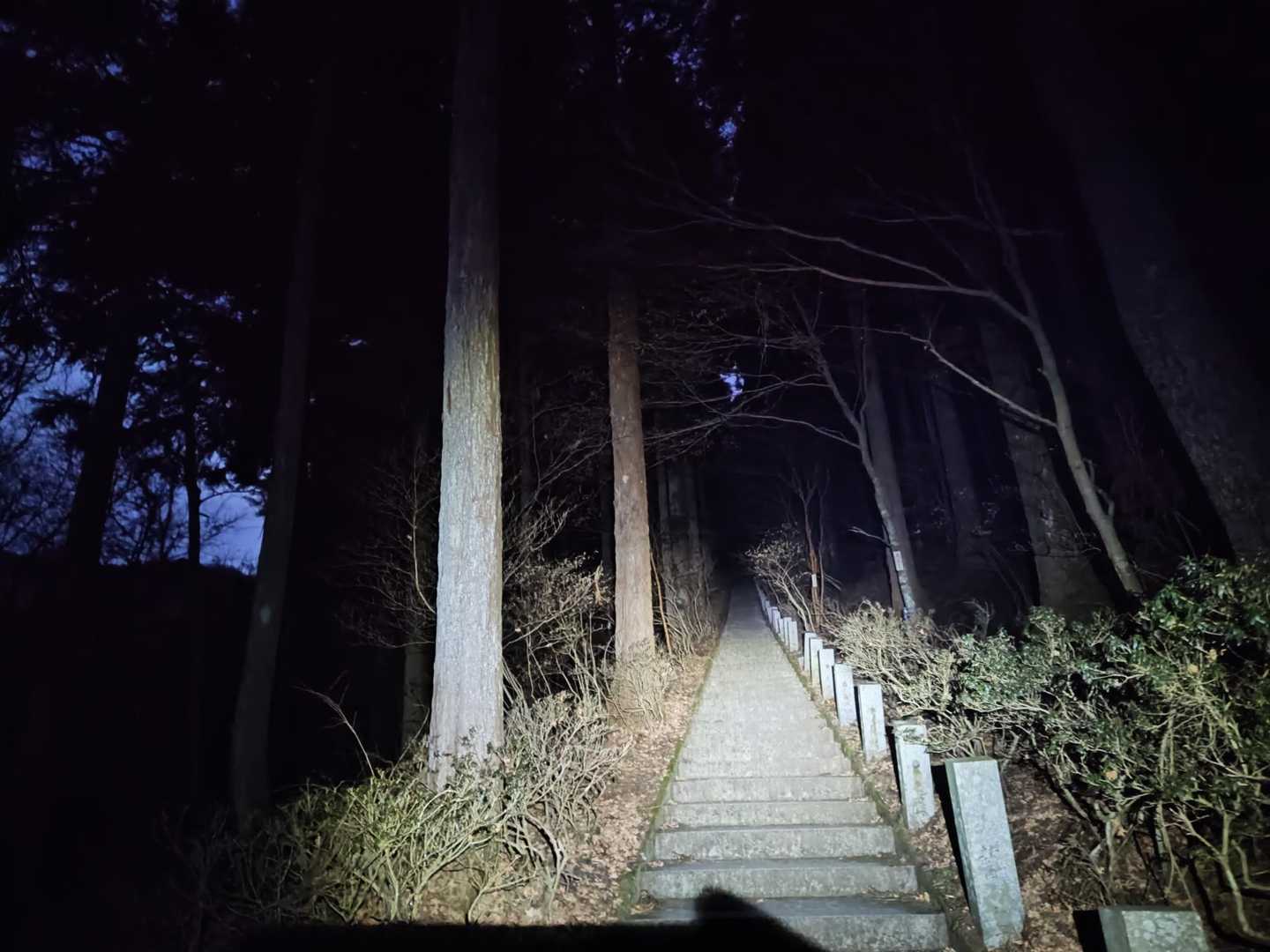 真っ暗な中、石段400段以上登ります
上が見えなかったから逆に良かったかも