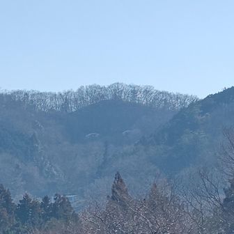 山の目、わかります？