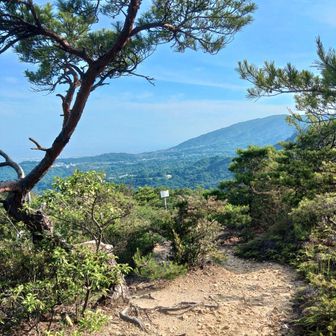 ここから下山ルートなのですが、この行者山東観峰から南に下山するルートがちょっと危険なレベルの急斜面でした。
