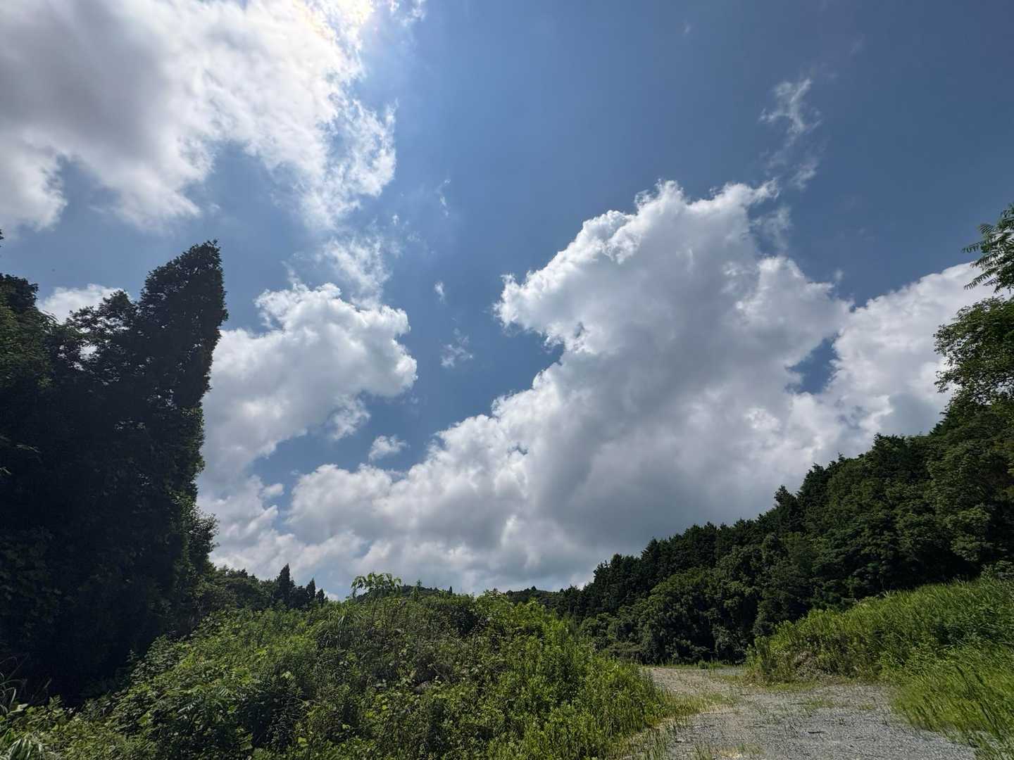 夏の空だね☀️

