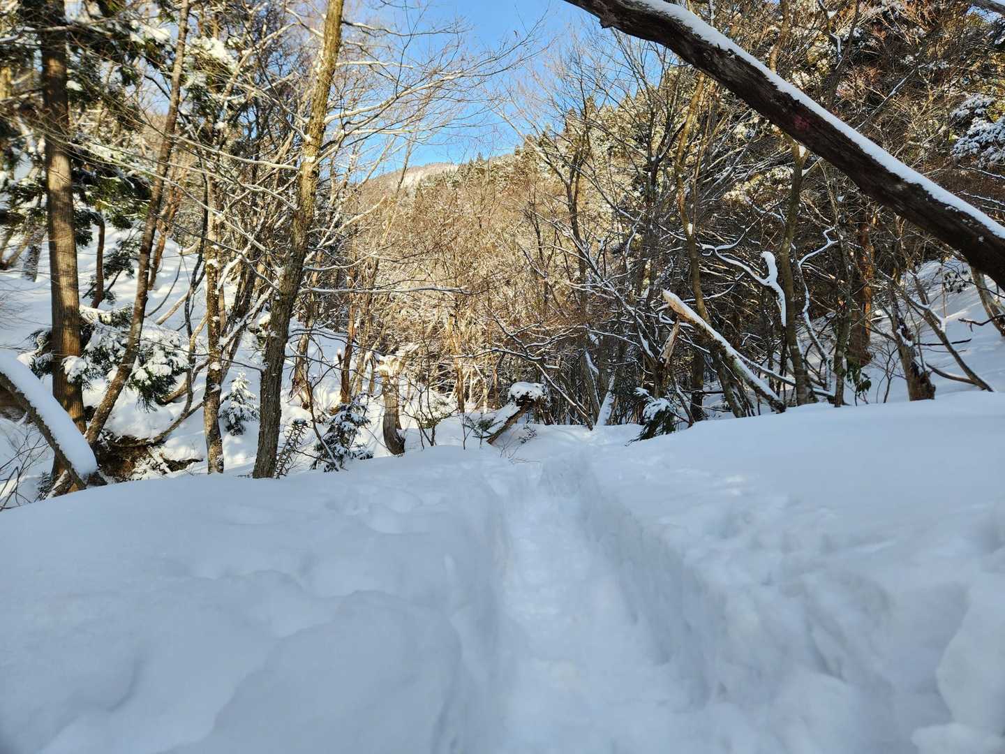 トレース