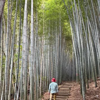 🐼佇む

あんまり期待してなかったけど💦

🍁大満足‼️ありがとうございます😊