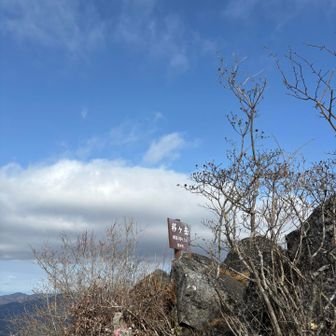 頂上付近の木🌲がない