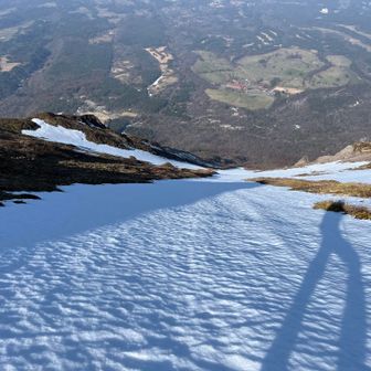 新ズリの雪渓　真下にミルクの里
