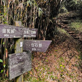 ２つ目の分岐