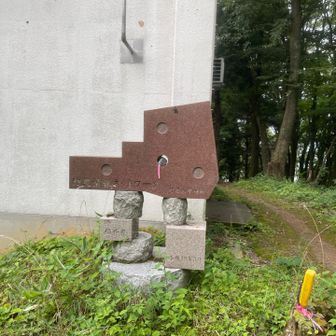 パラグライダーのお山だからかな笑
ノコギリクワガタがぐるぐる飛び回ってました♪