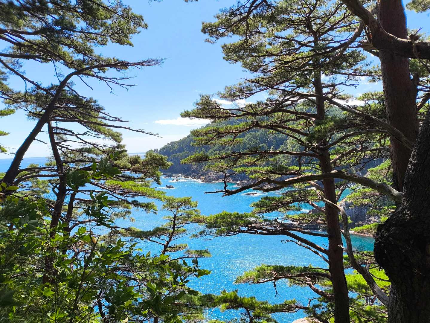 姉吉漁港登山口-本州最東端の碑 往復コースの写真