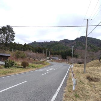 ☁️予報ハズレで曇、
1人スタート。