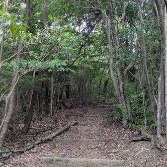良い登山道