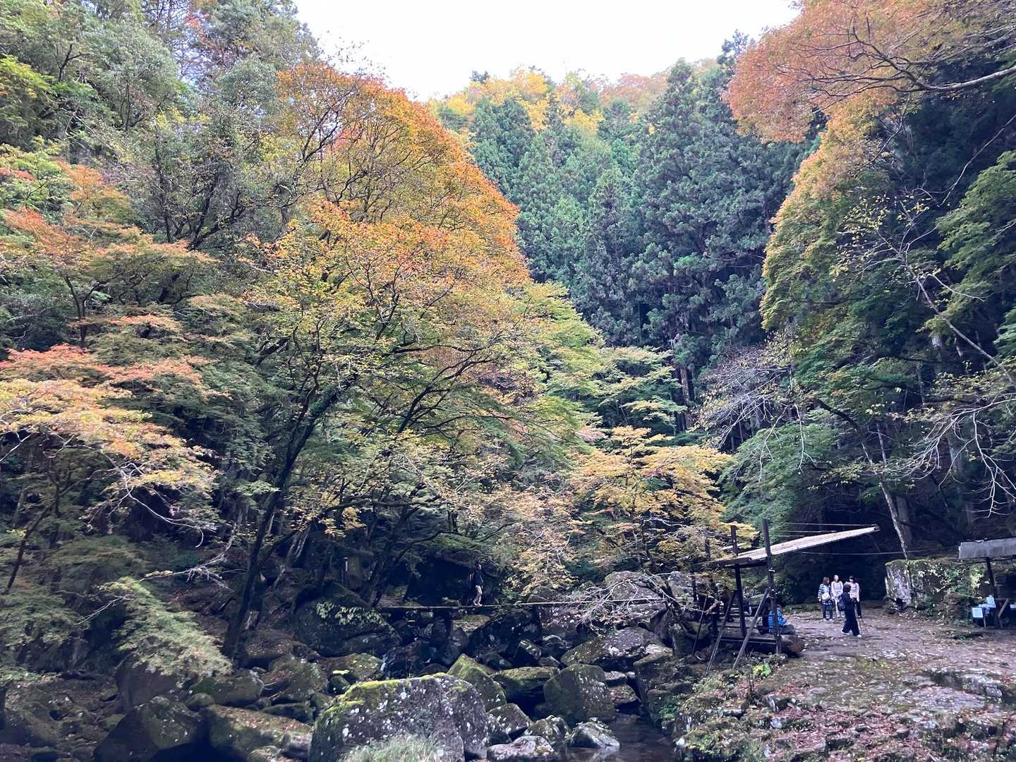 中間点のベンチでも紅葉🍁