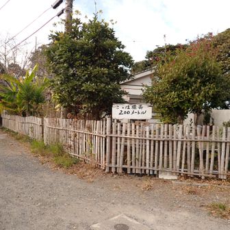 ２００ｍの看板　これが唯一山頂の標識のようだ