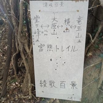 今日の縦走路は富熊トレイルって言うんだね👍
四座あるんだけど、最後の堂ケ峰は少し遠いので行かなかったよ。後で登る山が沢山待っているからかな？
せっかくここまで来たのに勿体ないなぁ～😆