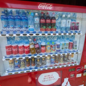 ヤビツの自販機。150円の緑茶が輝いて見えます🤣 



(久しぶりに一般道のみの登山😅回復週で新しい靴の試走程度に留めるつもりが、序盤の捻挫と熱中症でペースの割に強度が高くなってしまいました。

☀️↑31℃ ↓18℃ 40％
大山-ヤビツ峠 1.2L
ヤビツ峠で1.6L補給 500ml足りず
大倉で1L補給)