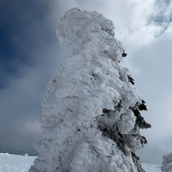 急接近してみた😆ご立派♡