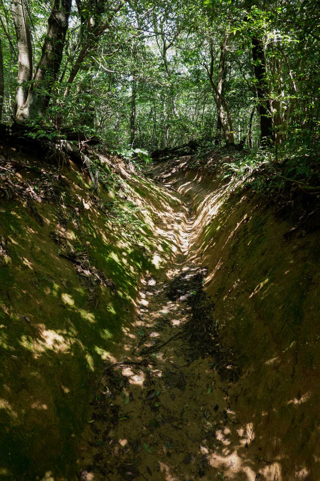 黄色の粘土質の細い溝の登山道を滑らないよう慎重に