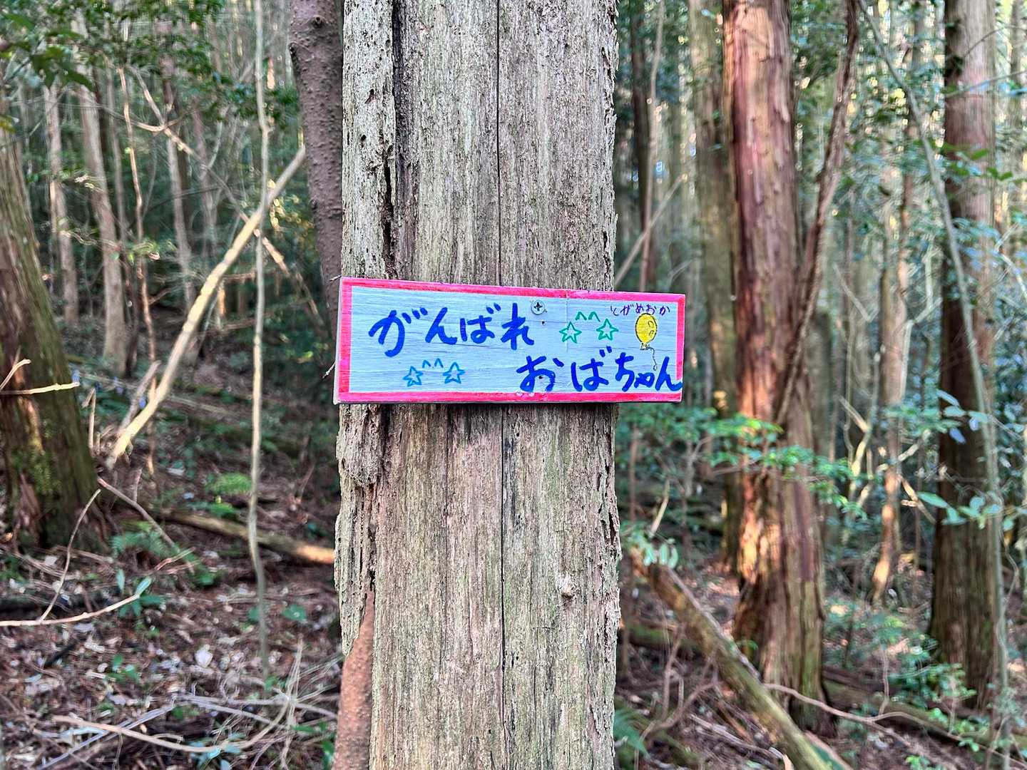 頑張る😤