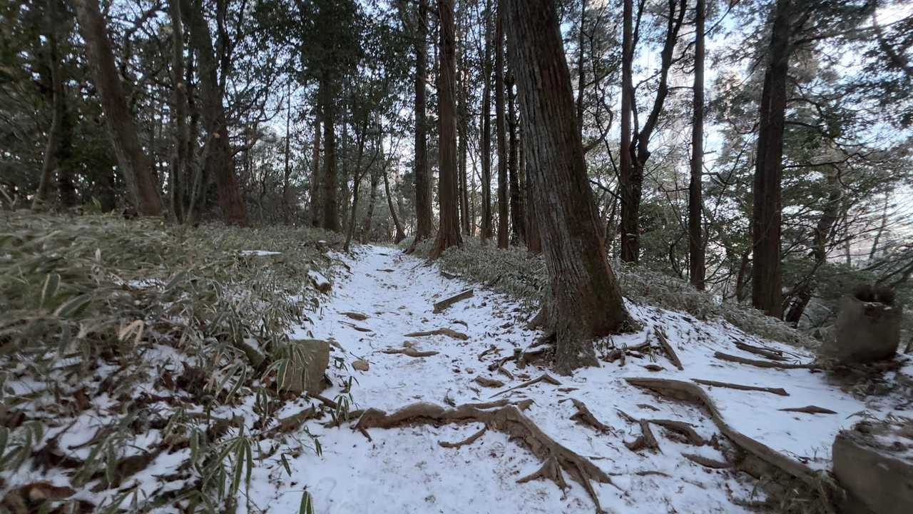 六甲ハイカー（六甲全山縦走路） の写真 49